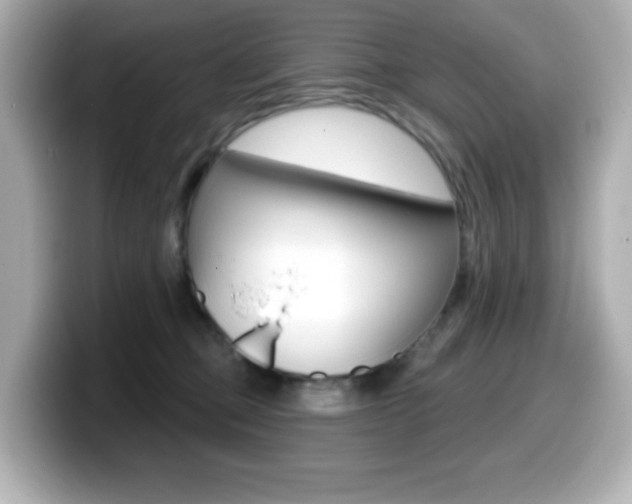X0000099380373200805081204
