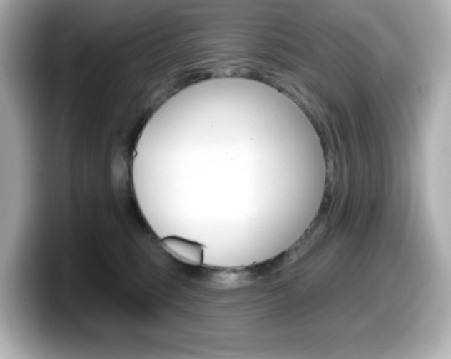 X0000099380375200805081204