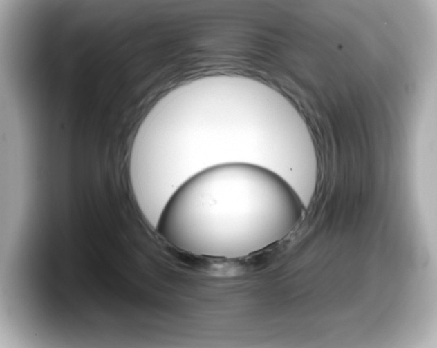 X0000099380376200805081204