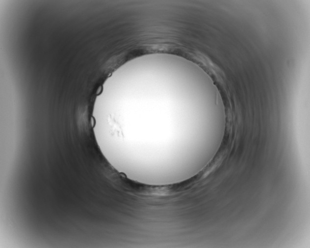 X0000099380377200805081204