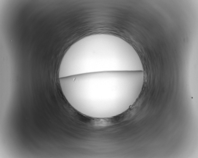 X0000099380378200805081204