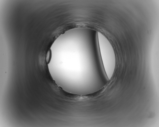 X0000099380379200805081204