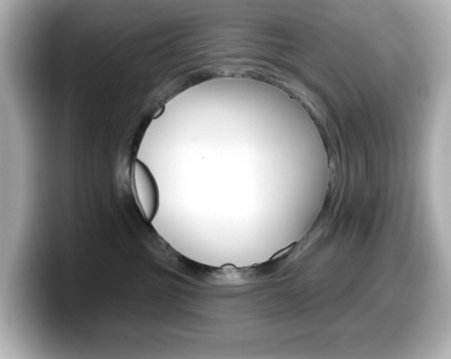 X0000099380381200805081204