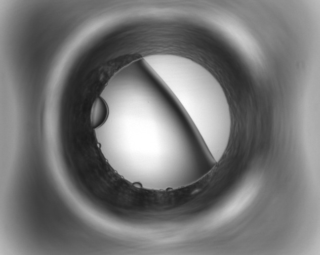 X0000099380383200805081204