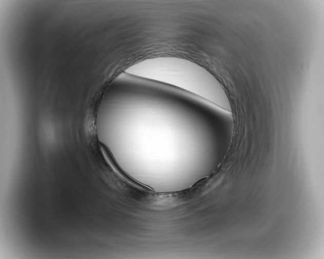 X0000099380384200805081204