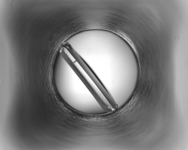 X0000099380385200805081204
