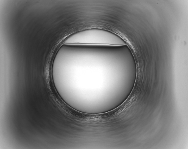 X0000099380386200805081204