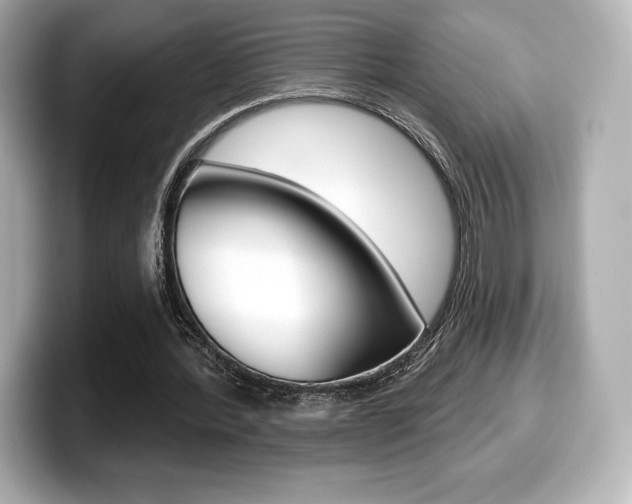 X0000099380388200805081204