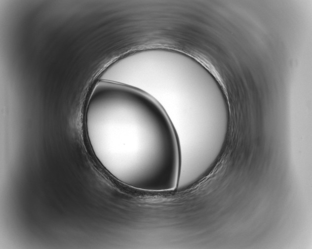 X0000099380389200805081204