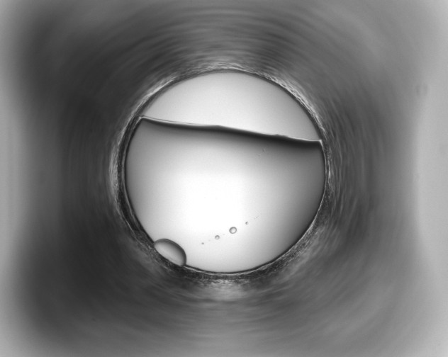 X0000099380390200805081204