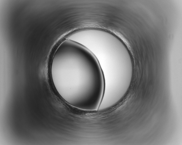 X0000099380391200805081204