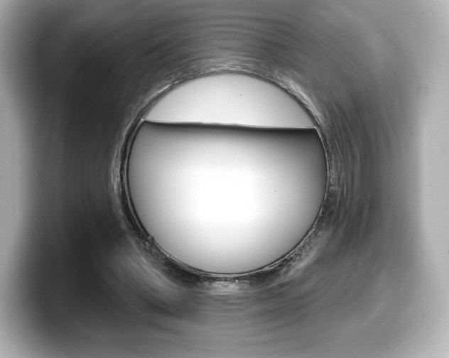 X0000099380394200805081204