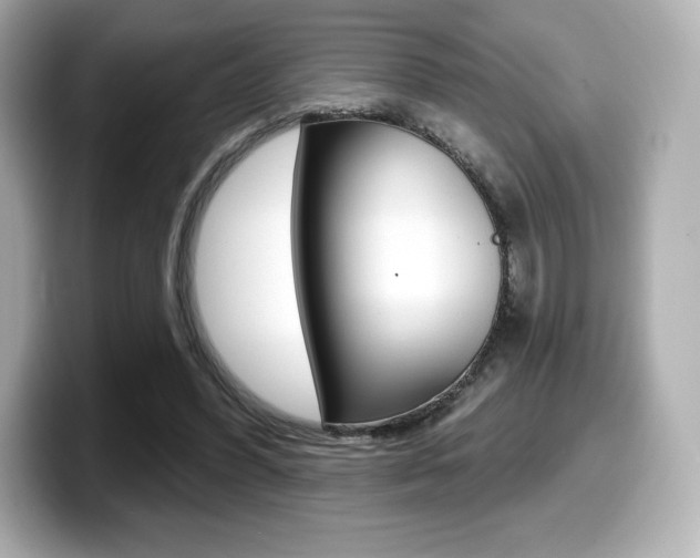 X0000099380396200805081203