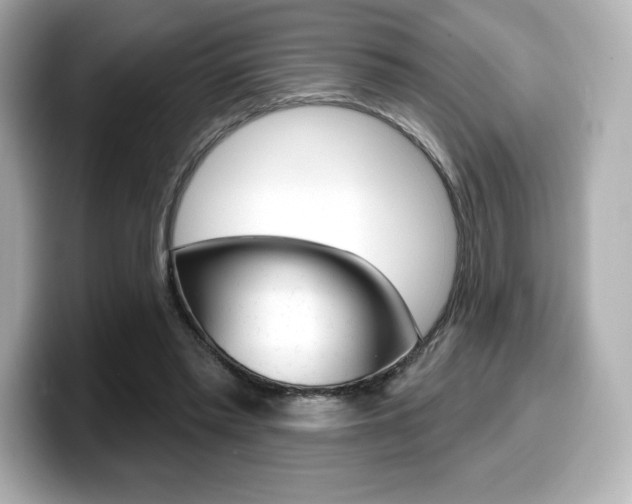 X0000099380397200805081203