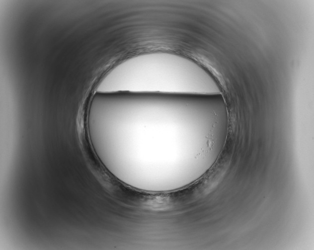 X0000099380398200805081203