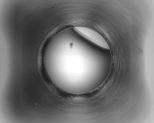 X0000099380400200805081203