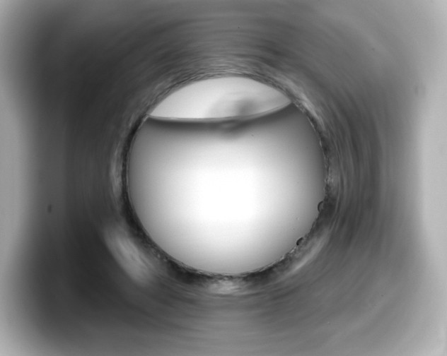 X0000099380402200805081203
