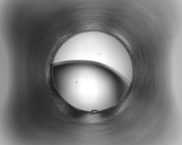X0000099380403200805081203