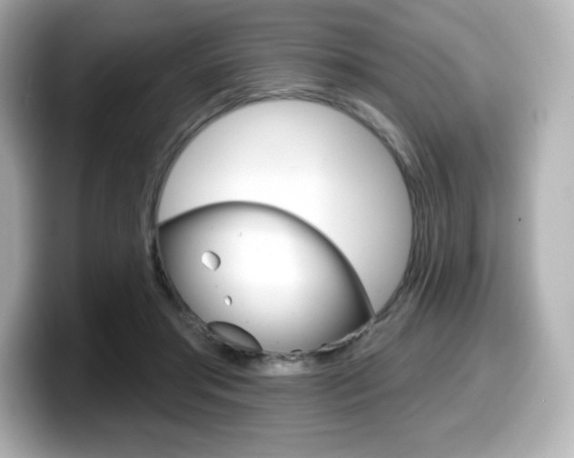 X0000099380405200805081203