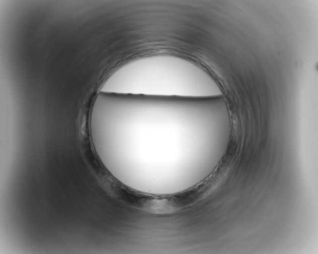 X0000099380406200805081203