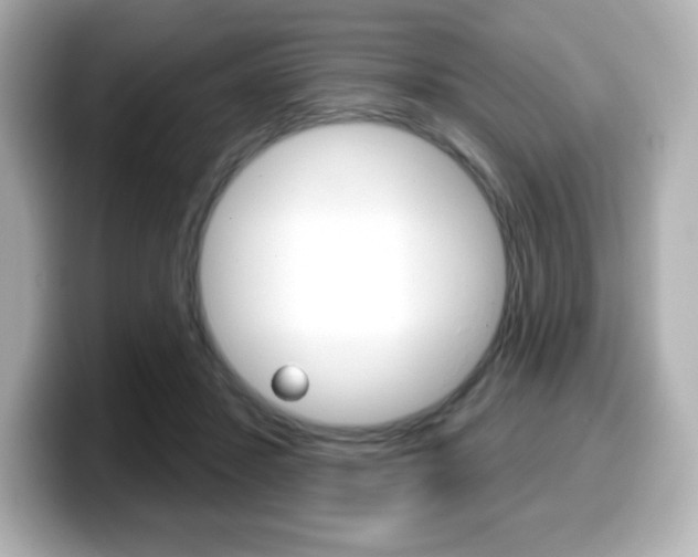 X0000099380407200805081203