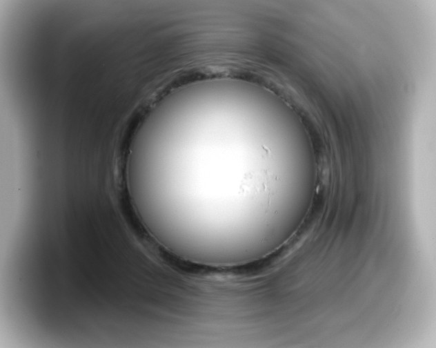 X0000099380408200805081203