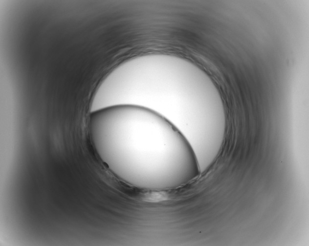 X0000099380409200805081203