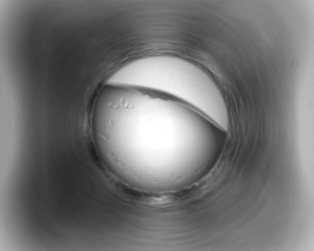 X0000099380411200805081203
