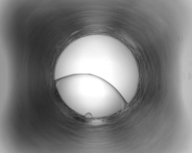 X0000099380413200805081203