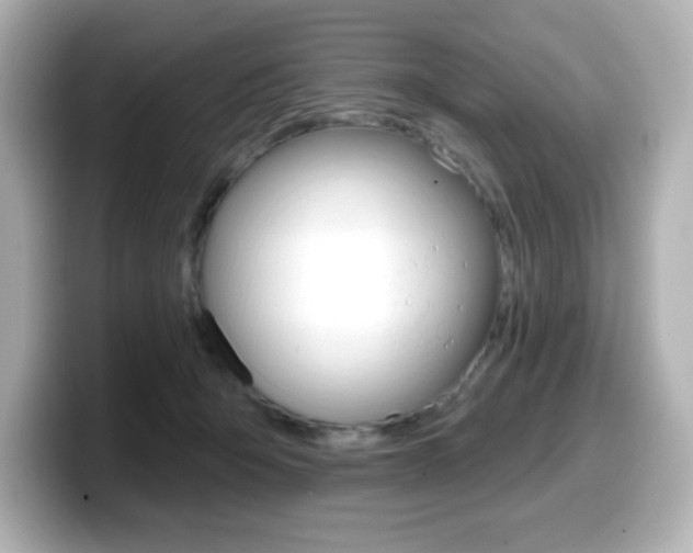 X0000099380415200805081203