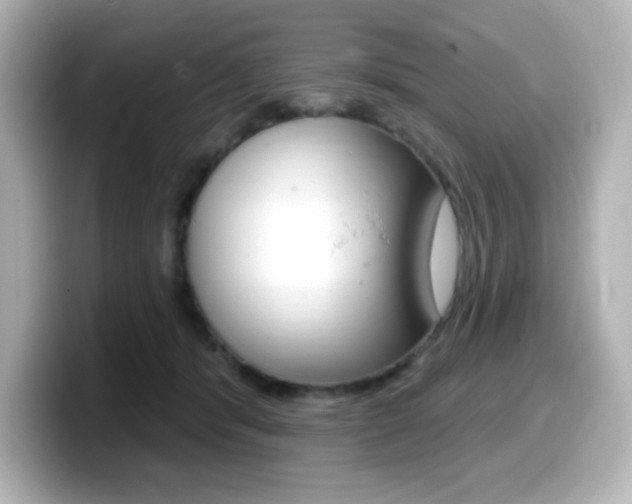 X0000099380416200805081203