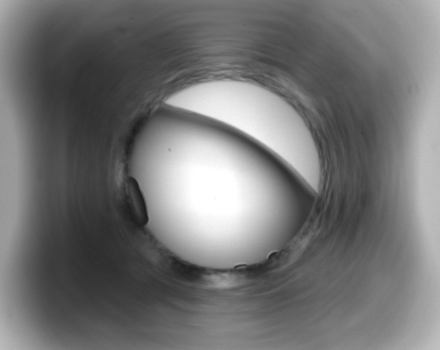 X0000099380417200805081203