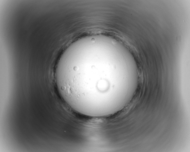 X0000099380418200805081203