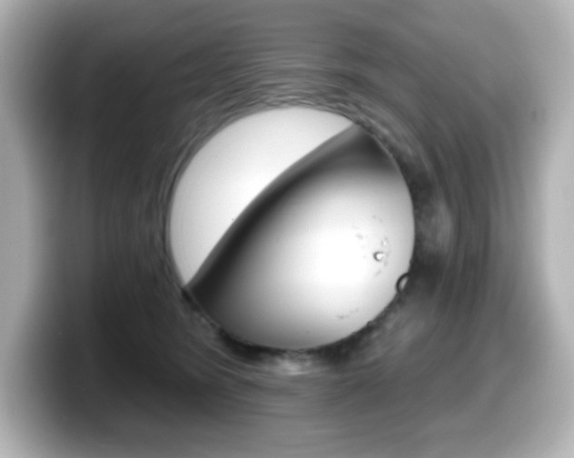 X0000099380420200805081203