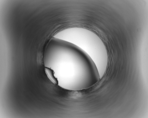 X0000099380421200805081203
