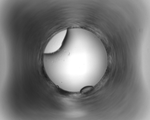 X0000099380422200805081203