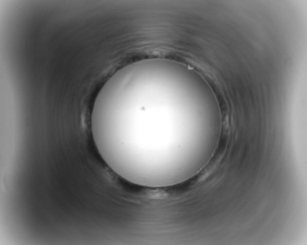 X0000099380424200805081203