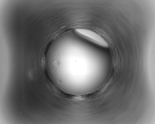 X0000099380425200805081203