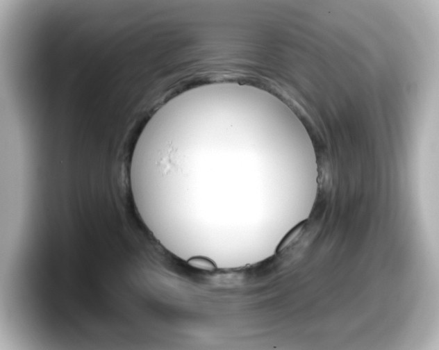 X0000099380426200805081203