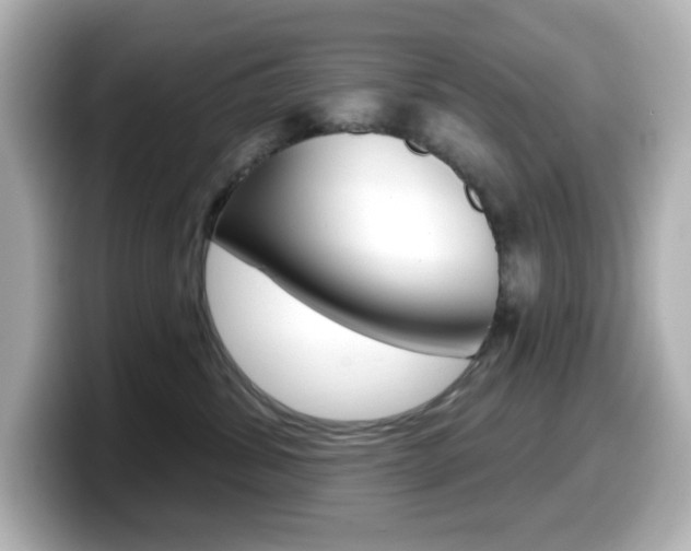 X0000099380428200805081203