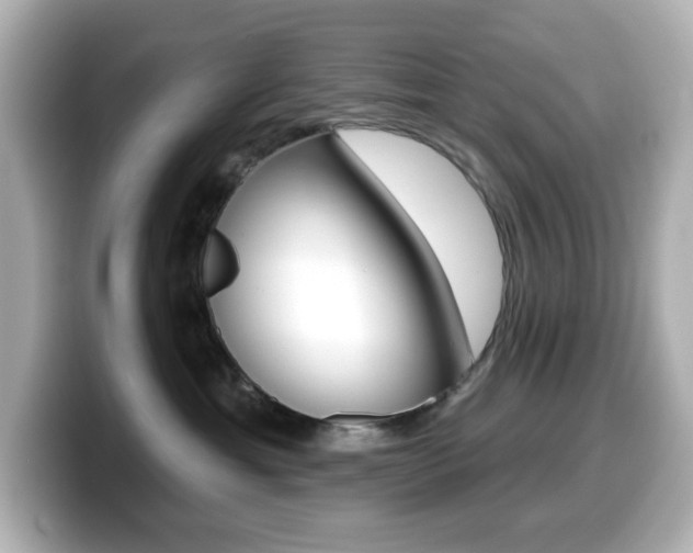 X0000099380429200805081203