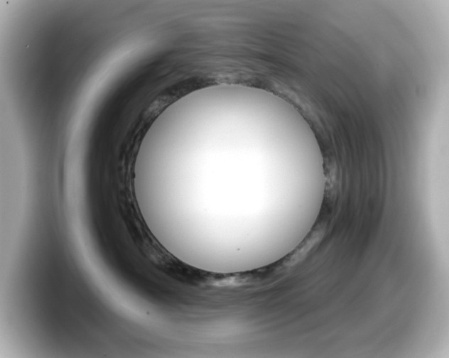 X0000099380430200805081203