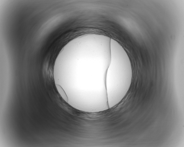 X0000099380431200805081203