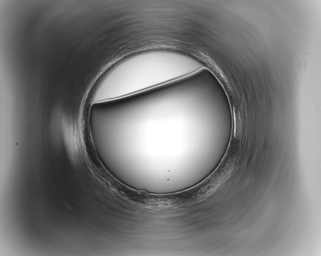 X0000099380435200805081202
