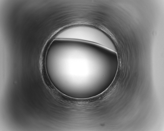 X0000099380436200805081202