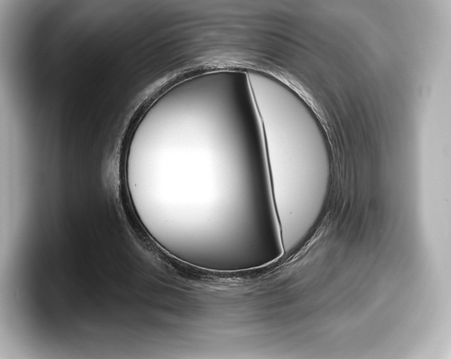 X0000099380438200805081202