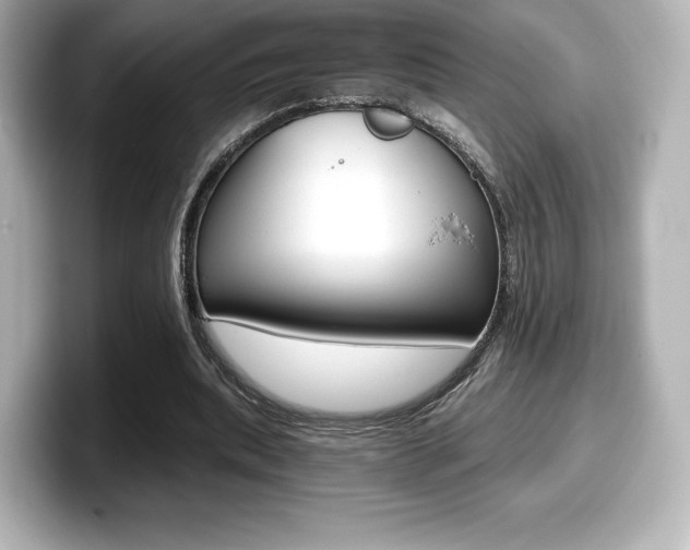 X0000099380439200805081202
