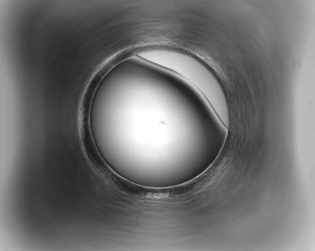 X0000099380440200805081202