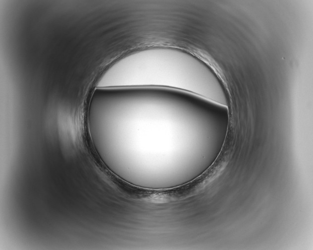 X0000099380441200805081202