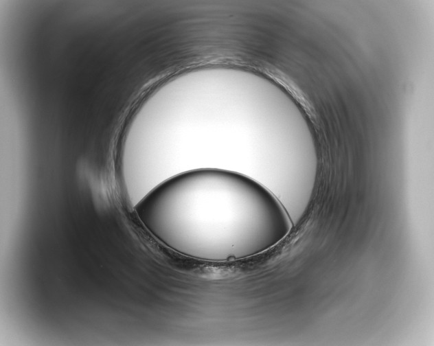 X0000099380442200805081202